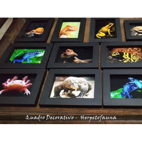 Quadro Herpetofauna