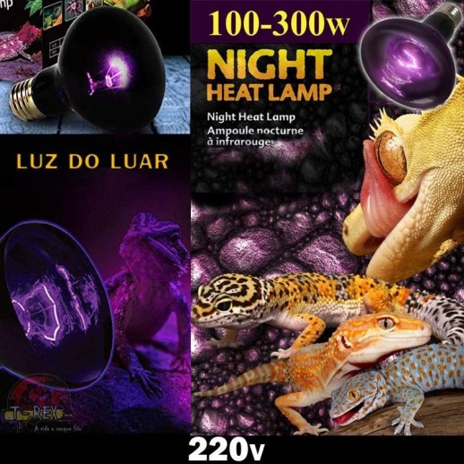 Lampada aquecimento noite terrario