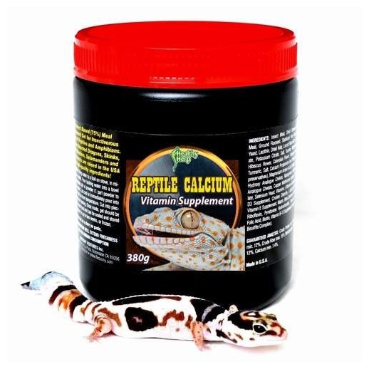 Repti cálcio repteis