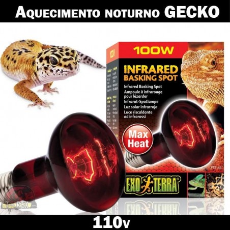 Lâmpada aquecimento leopard gecko