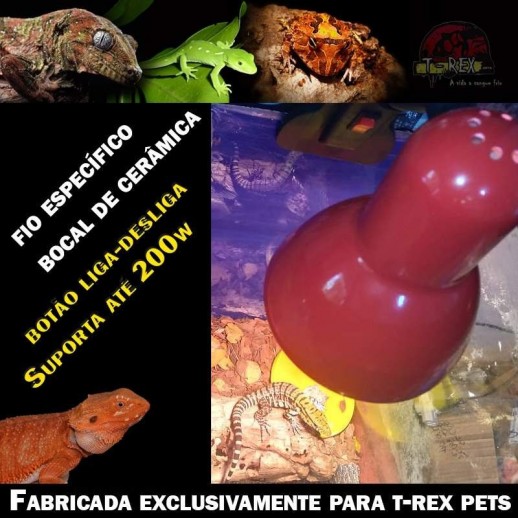 luz para répteis