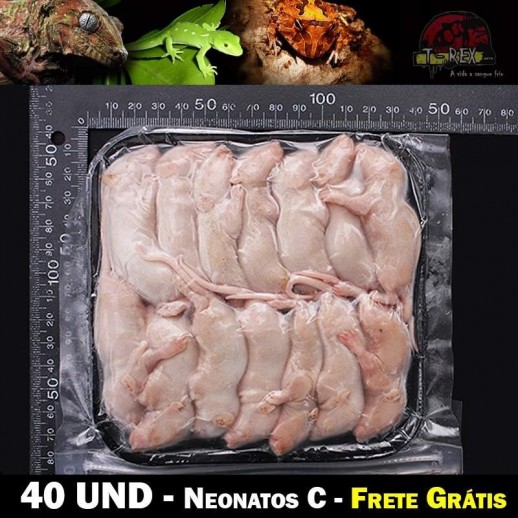 lactante alimento vivo cobras