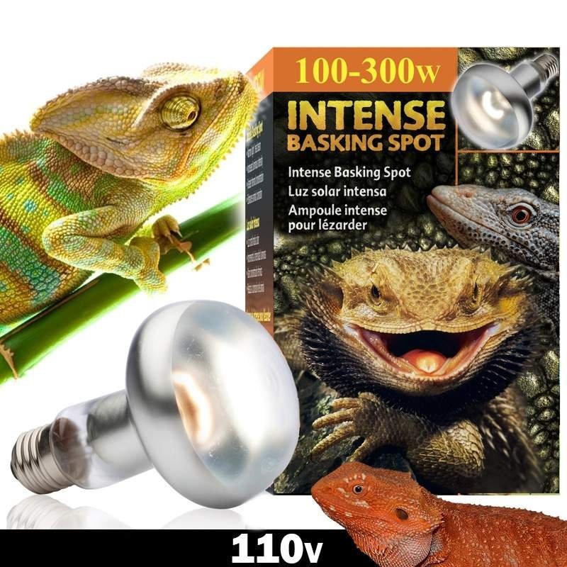 lampada de aquecer repteis jabuti