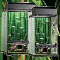 Kit Terrário Tropical